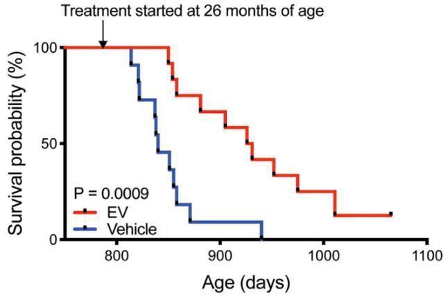 重大突破!华盛顿大学用“返老还童”酶使剩余寿命延长2.3倍