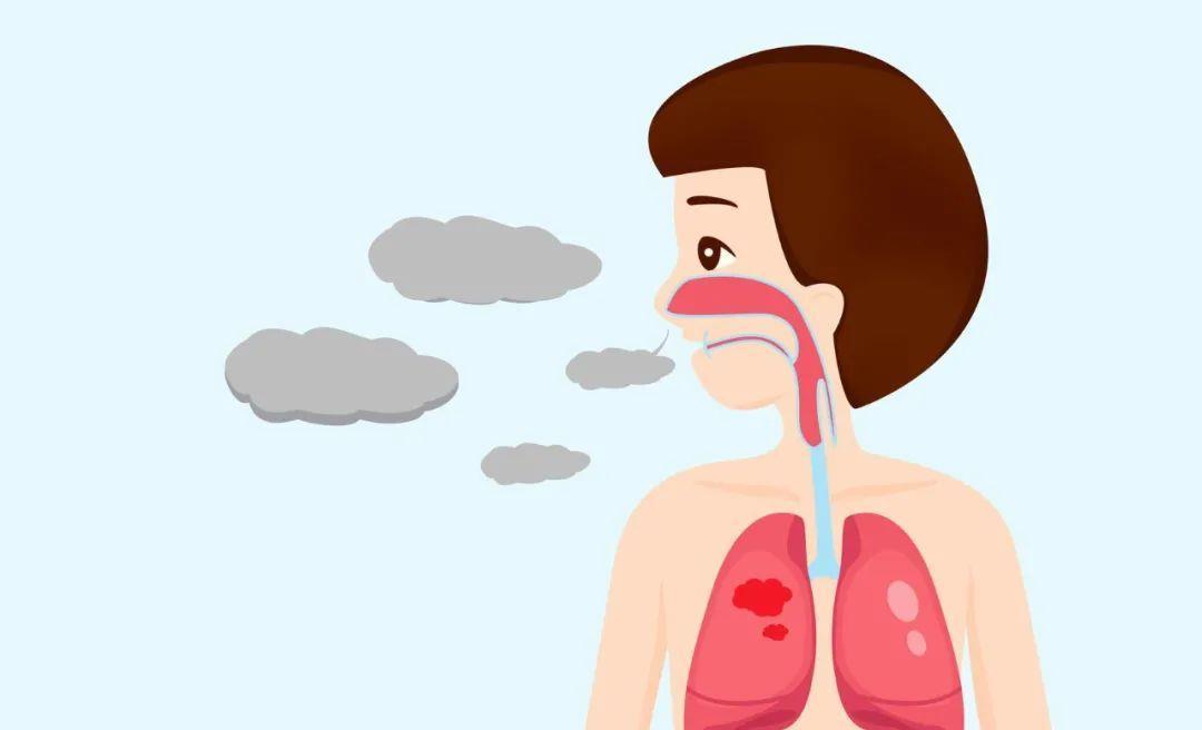 车前草,对人体健康究竟有何妙用?了解这3个健康常识就知道了