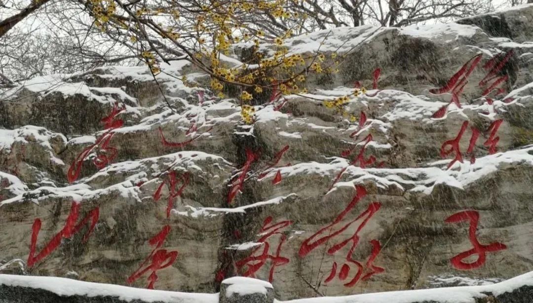 花果山|今日大雪︱寒梅已作东风信，红枫黄叶挽芳菲