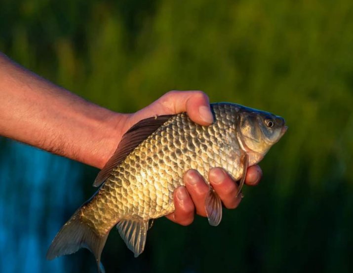冬季晴天好钓鱼吗,实战经验告诉你技巧,连杆上鱼不是问题