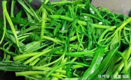 解毒|不论男女,1种“菜”经常吃,养肝排毒,远离肝炎、肝硬化!