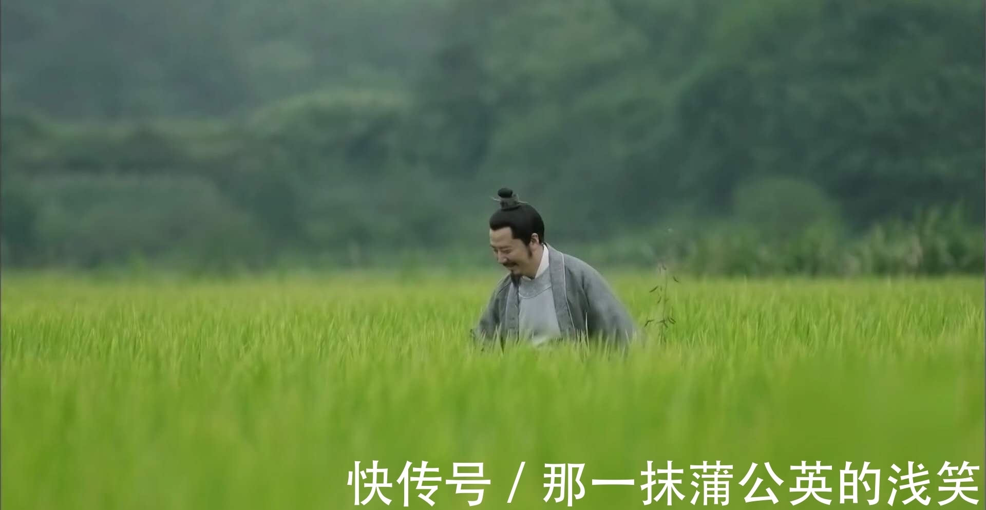 麦子@《知否》中官家种了许久的麦子有何深意?刷剧4遍才看懂