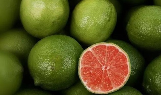 滋补品|9岁男孩脾虚大半年不长个,听取儿科主任建议,半年长高8公分