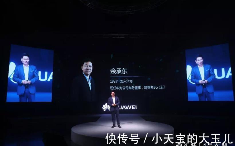 苏箐|那个说“特斯拉杀人”的华为高管,被免职了