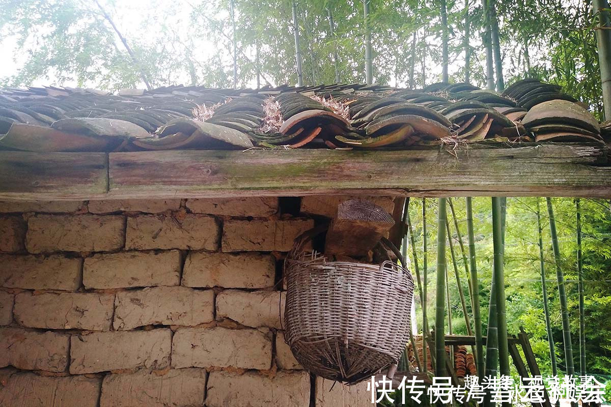 回家|山村楼房装修豪华,门前堆满柴火,2个儿子3年没回家