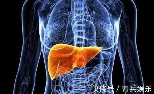 胡萝卜|早晨是养肝“黄金时段”，医生建议：3种食物，可能有助于养肝