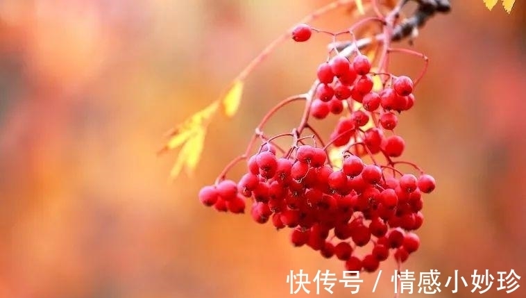 罗永浩高情商聊天,罗永浩高情商聊天:从沟通技巧到人际关系的提升