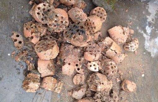 肥料|把它加在盆栽里,10年都不会积水烂根,再也不用花钱买肥料了!