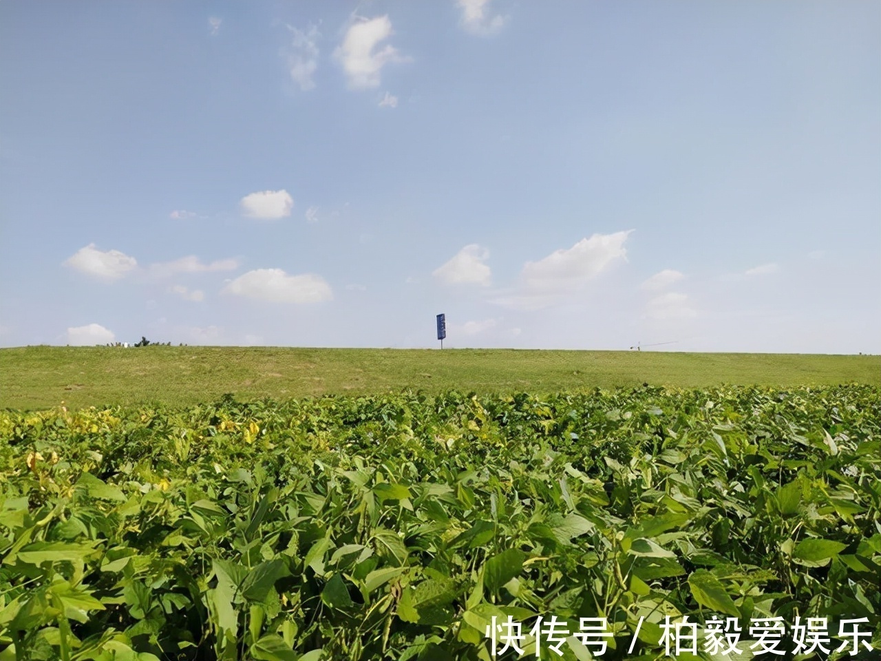 帝喾&蚩尤是黄帝之子,揭示中华民族与中华文明怎样的历史发祥地