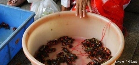 种食物|被南方人称为“天下奇鲜” 北方基本没人吃过!