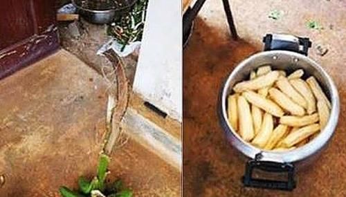 天后|23岁女大学生,每天只吃10根香蕉,7天后她的身体有了这些变化