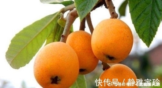 衰老|人到中年想要长寿，推荐吃3种食物，排除毒素延缓衰老，好吃不贵