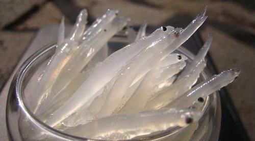 中年|孩子生长发育期,吃东西不能马虎平常吃点以下几种,补钙助长高