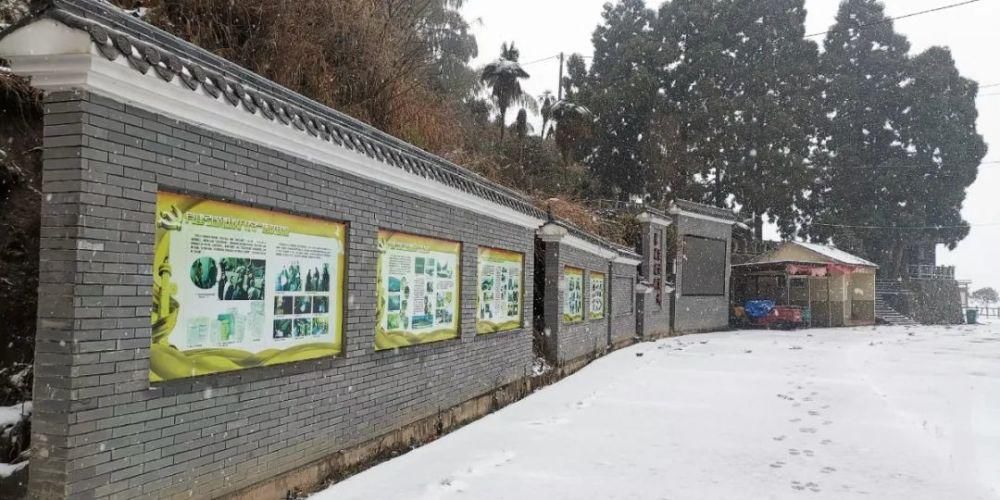 雪景|丽水这些地方下雪了，美炸了~最新雪景美图，请签收