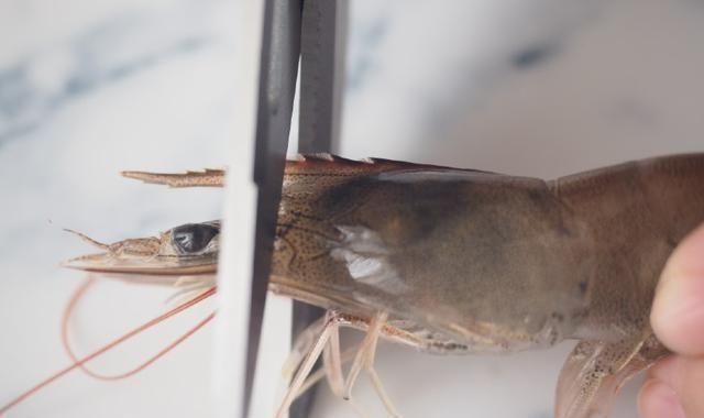 虾头不要扔这么做变废为宝，还鲜香的差点让人闪了舌头