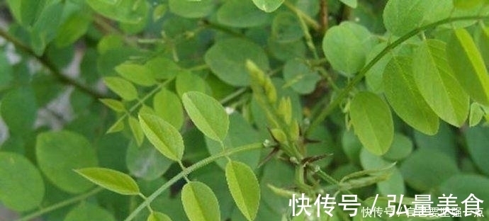 韭菜韭菜|痔疮反复不要慌,这几种食物每天吃一点,痔疮可能会慢慢消失