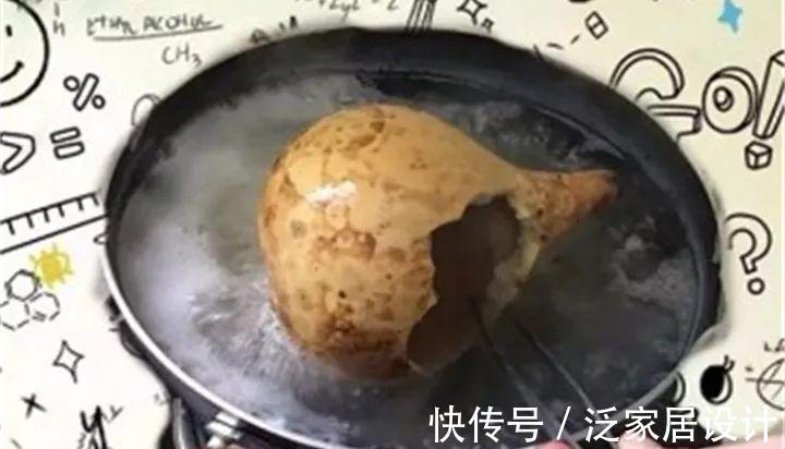 叶插|用葫芦种多肉，一养就是三年，邻居给钱都不卖