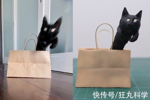 长颈狗|全球的猫都想屏蔽这个日本人,他到底做了多少沙雕手办?