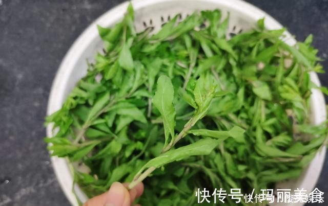枸杞叶|农村这个野草,人们经常吃它的果实,却不知道叶子也能吃