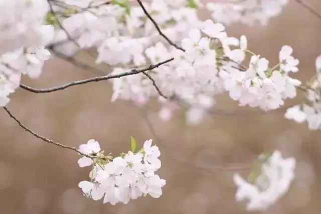  成就|王阳明训子家书，大智慧成就大人生