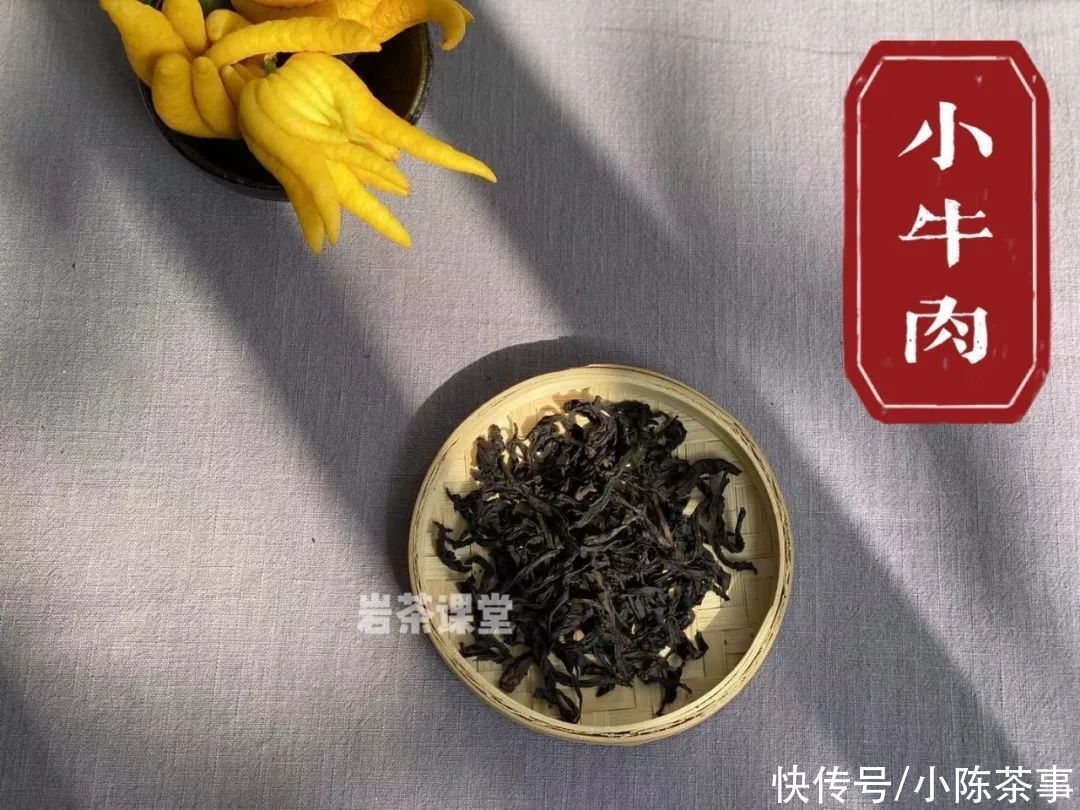 慧苑|我在武夷山“捡漏”，采到一泡小牛肉岩茶，味道如何？