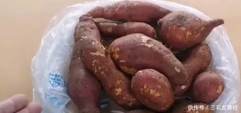 保存红薯一年不烂,农村老人教我诀窍,第一步才是关键,越放越甜