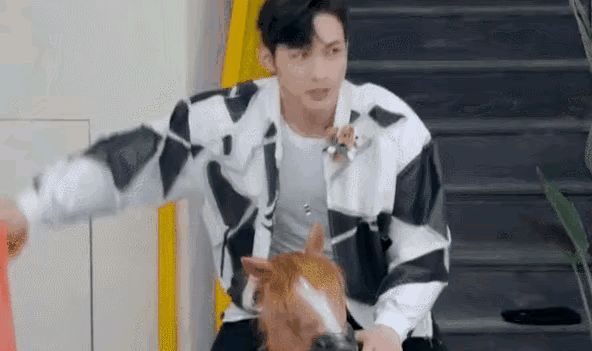 馬騎|《拜冰7》又翻車!王嘉爾被嘉賓當馬騎,粉絲怒斥節目組不尊重人