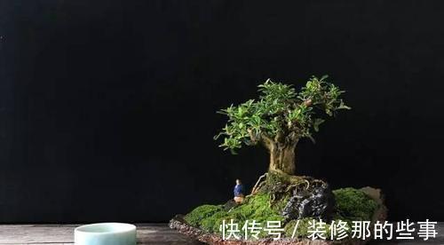 个性|破壶烂瓦做盆,每一个都破出了个性