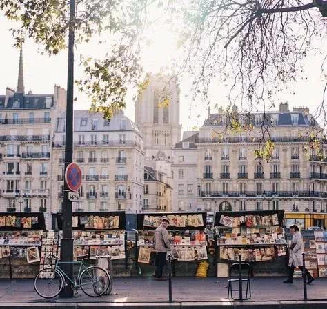 书箱|绿皮小书箱这次真的要消失了?!塞纳河将失去她的灵魂!