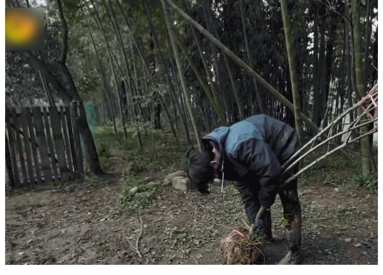 《向往5》節(jié)目組真敢請(qǐng)，把兩位最懶嘉賓放一起錄節(jié)目，熱鬧了！