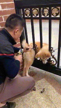 |搞笑GIF:说实话,就这个背影,我已经不在乎面貌了