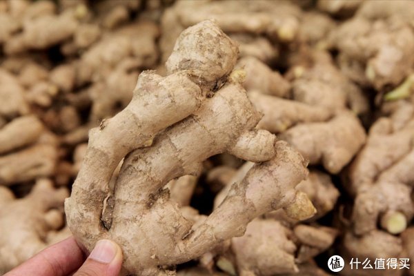 食材|立秋以后,“啃秋”有讲究,无论价格贵贱,这5种食材都要少吃