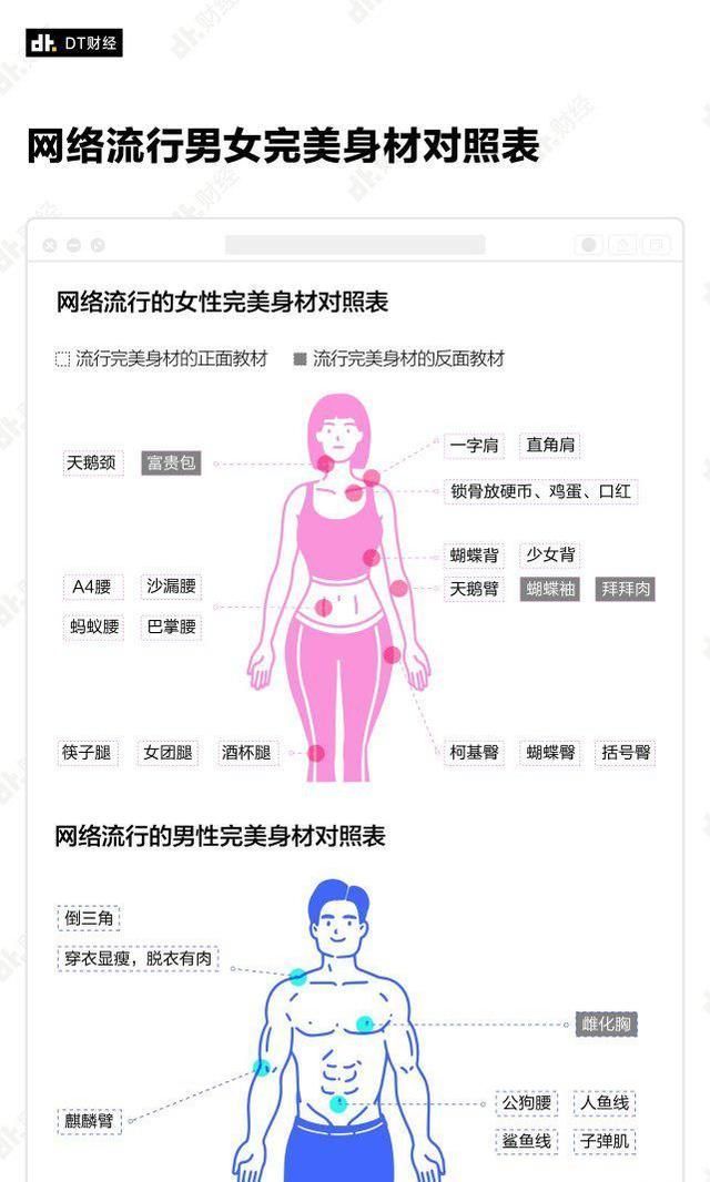 小红书|反人类的完美身材标准,为什么如此受人追捧?