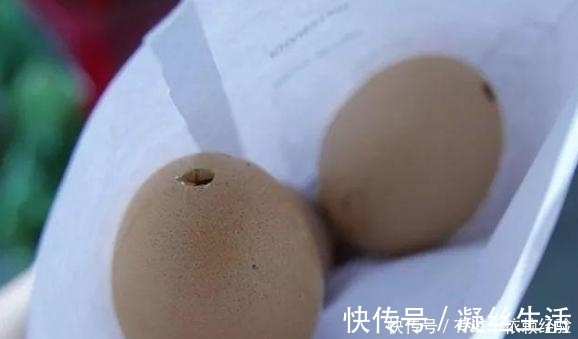 家庭养花，没有肥料也别愁，往土里埋“2个蛋壳”，啥都不缺!