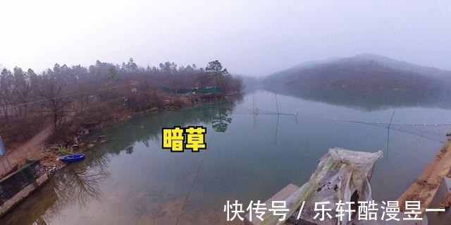 浮草|什么水草才是冬季钓鲫鱼的好位置老钓友经验，这3种水草很藏鱼