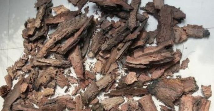 养花换盆时,多“加”1物,花卉“10年”不烂根,叶子绿,开花多