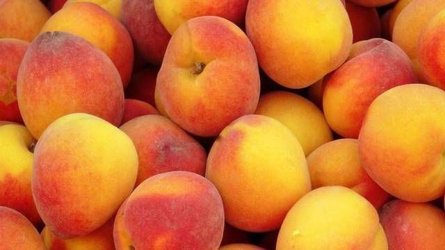 常吃|晚上常吃这几种水果,提高睡眠质量,还能够更好的去除体内湿气