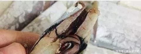 教你做|大厨教你做红烧带鱼,出锅香味扑鼻又下饭,学会了在家里也能操作