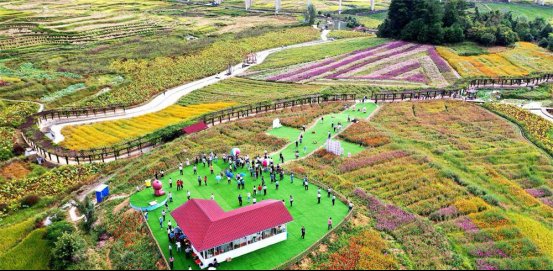 田园|秋景醉人 广西河池百花盛开等你来打卡