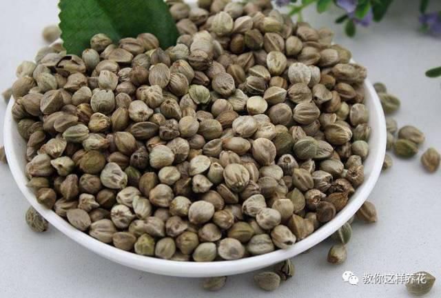 老花匠|老花匠:扔4种“东西”,就是扔钱,比花肥还好用,不花钱!