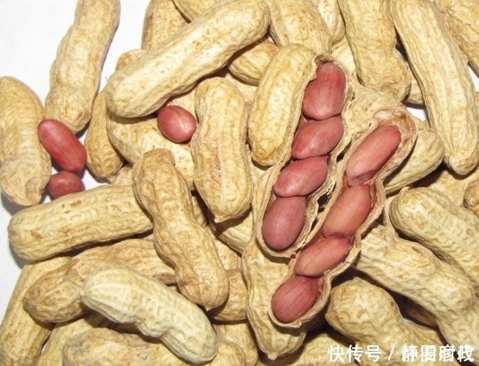 智力花生蛋白|花生和此物一起煮,常吃睡眠好了,白发没有了,皮肤白嫩!
