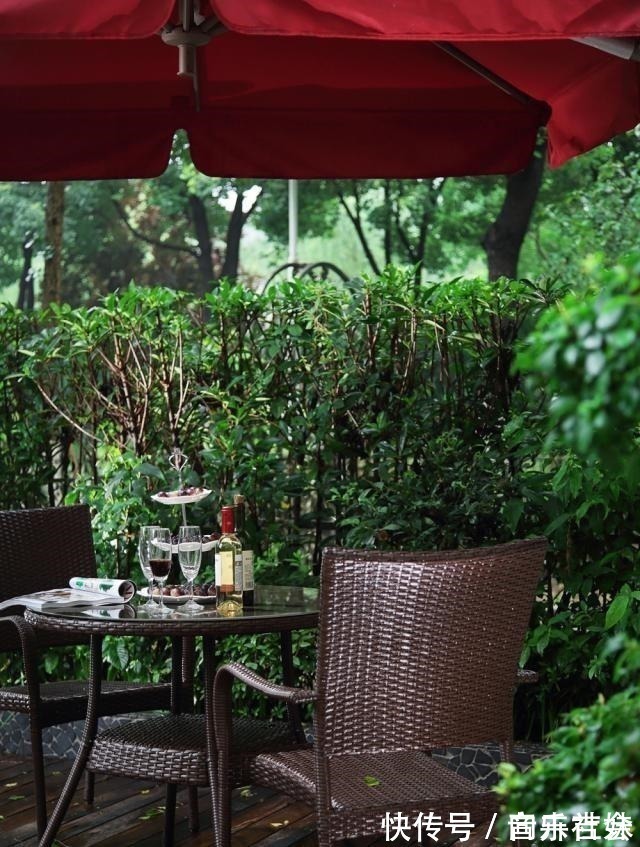 池塘|假如我有一个庭院,我会晒晒太阳种种花,带你看遍世间繁华