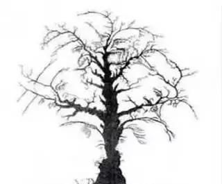  恭喜|知名老年痴呆测试：一眼能找到五个人的人，恭喜你！大脑还很健康