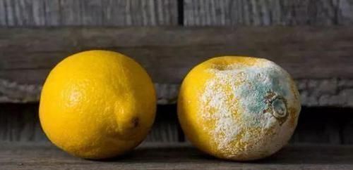 汁草|加速胃部病变的5种食物,若一个都不爱吃,胃癌也会离你更远