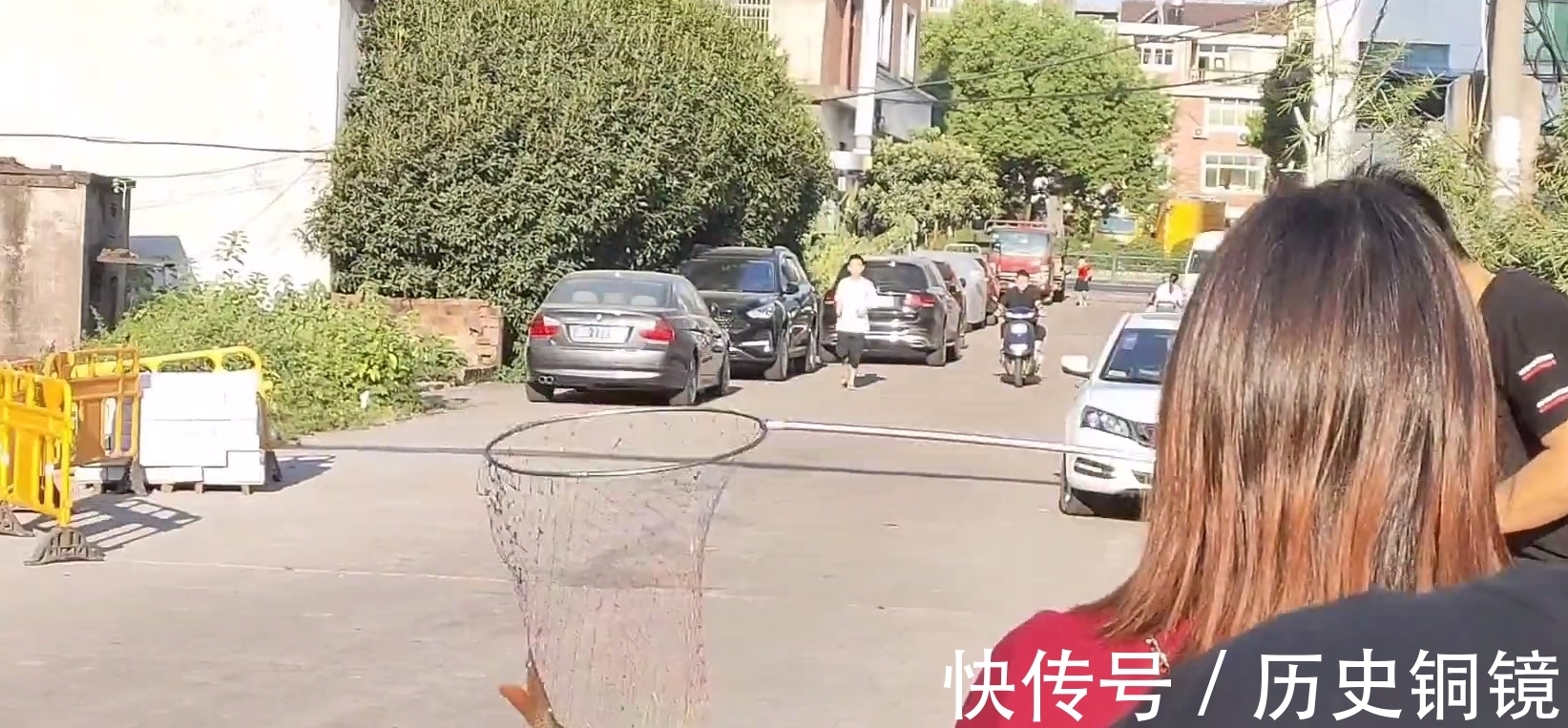 有人毒鱼？浙江钓鱼人河边夜钓，忽然河面大量鱼群浮头