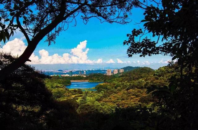 中年|广州出网红“遛娃地”，距市中心1小时车程，门票免费受游客喜爱