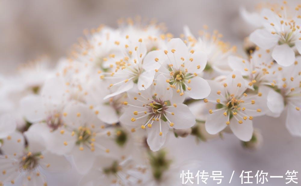 六十四卦#《易经》推天道明人事,中国哲学精华,卦名和卦序已见端倪