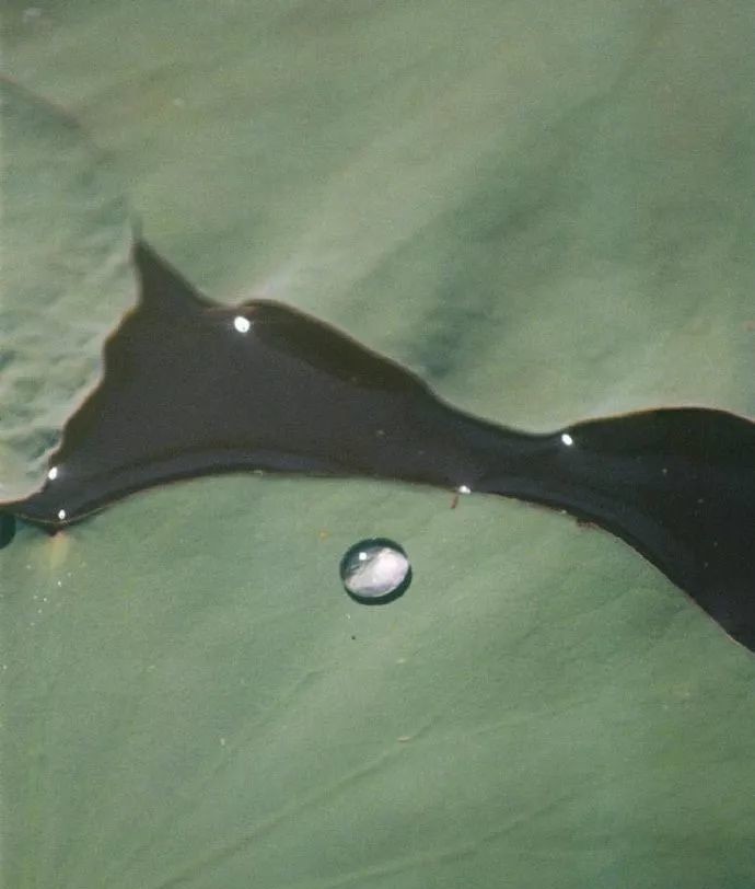 谨慎|曾国藩居官不败的五大处事原则