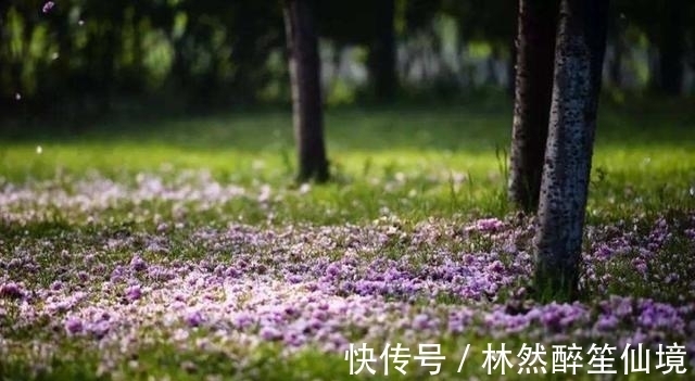 杜牧|唐朝最“肉麻”的一首诗,全诗仅20字,却道尽相思的苦楚