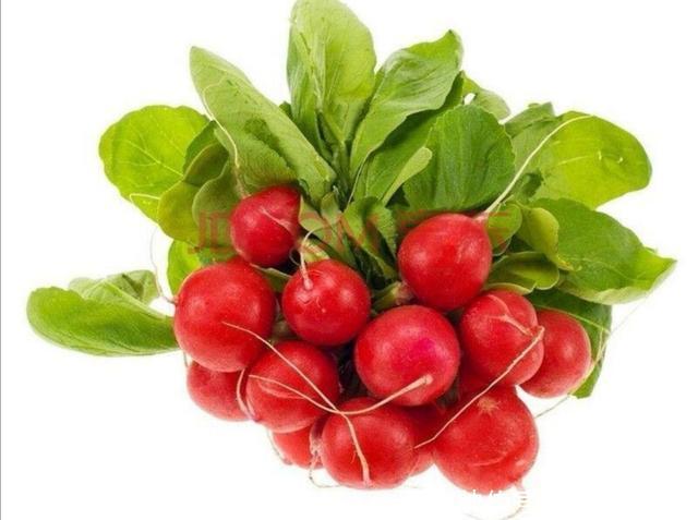 开净|自制几款开胃小咸菜,开净卫生又下饭,一上桌全吃光了